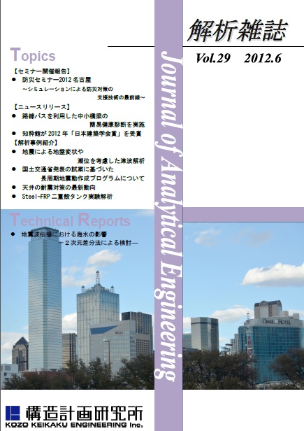 解析雑誌vol.29