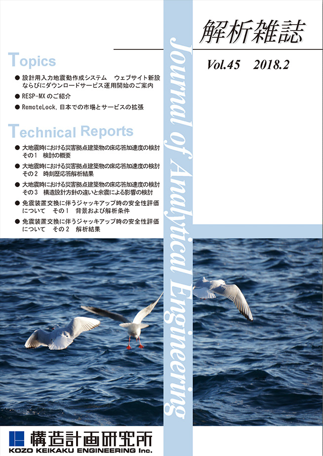 解析雑誌vol.45