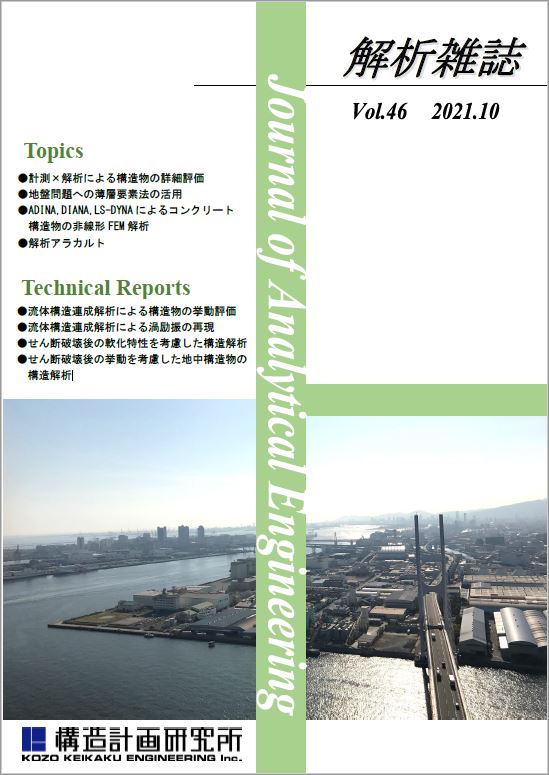解析雑誌vol.46