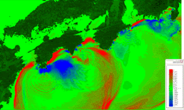 津波の高さ